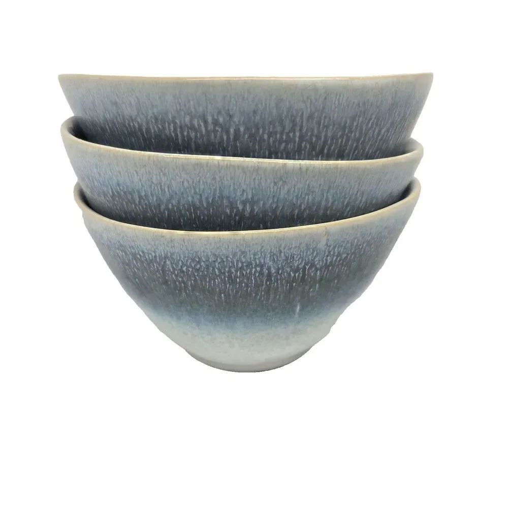 Sur La Table Cloud Blue Cereal Bowls 6